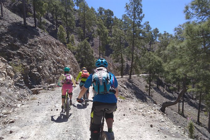 Mountain bike excursions - The guide factor: why Manuel-style effort matters