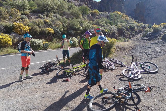 Mountain bike excursions - Meeting point and timing: Gravity Center Canarias in Vecindario