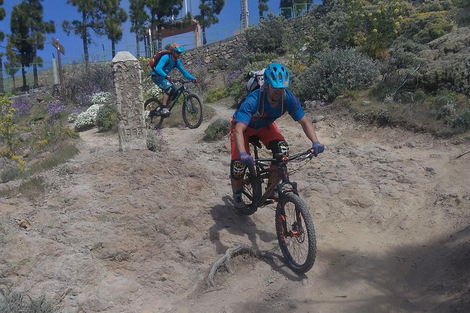Mountain bike excursions - Who this works best for in Gran Canaria