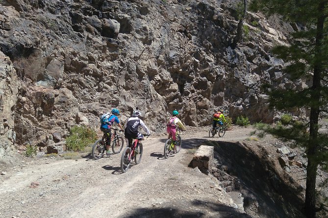 Mountain bike excursions - The main caution: bike expectations and group size