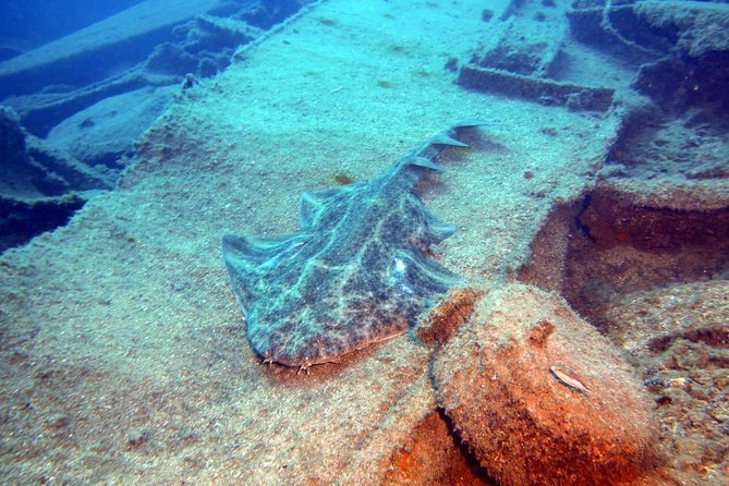 PADI Open Water Course in Gran Canaria - PADI Open Water in Gran Canaria: the 3-day rhythm that makes it work
