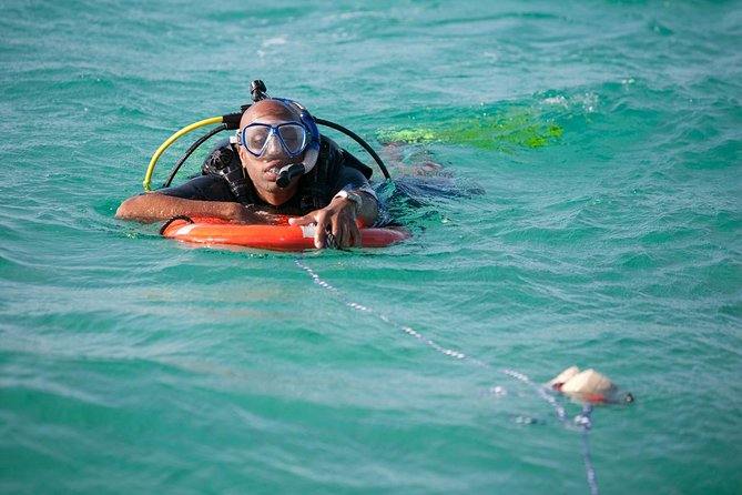 PADI Rescue Diver Course in Gran Canaria - Hotel pickup, meeting point, and timing: keep day one simple