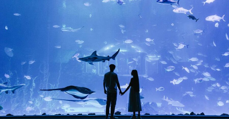 Poema del Mar Skip-the-Line Ticket - Your route on foot: 35 ecosystems that keep shifting the mood