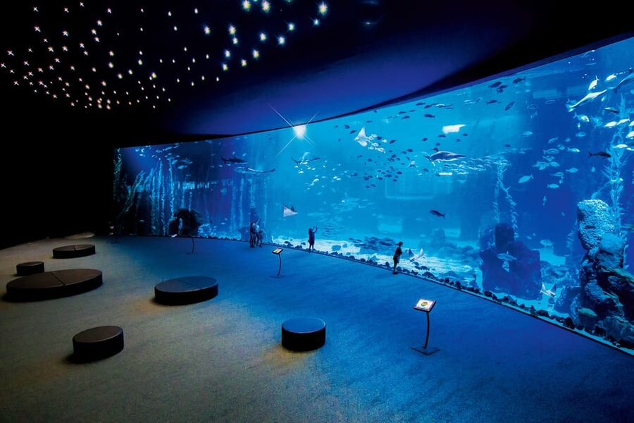 Poema del Mar Skip-the-Line Ticket - Deep Sea: multiple observation points in dark-water space