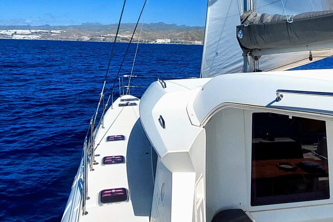 Private 5 hour catamaran cruise in south of Gran Canaria - Pickup from Bahía Feliz and returning near Puerto de Mogán area
