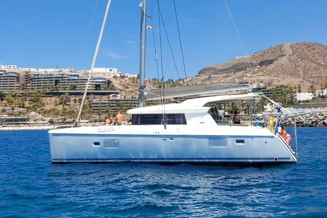Private 5 hour catamaran cruise in south of Gran Canaria - Price and value: what $824.15 really covers for your group