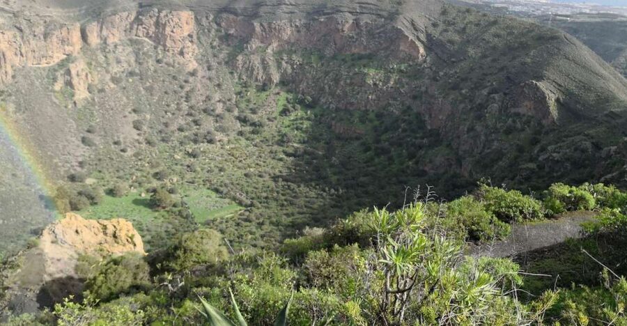 Private Bandama Caldera Volcano, Botanic Garden & Old Town - Bandama Caldera Summit: the view you’ll remember