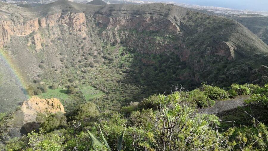 Private Bandama Caldera Volcano, Botanic Garden & Old Town - The Tafira Drive and Vineyards: how you’ll feel the island change