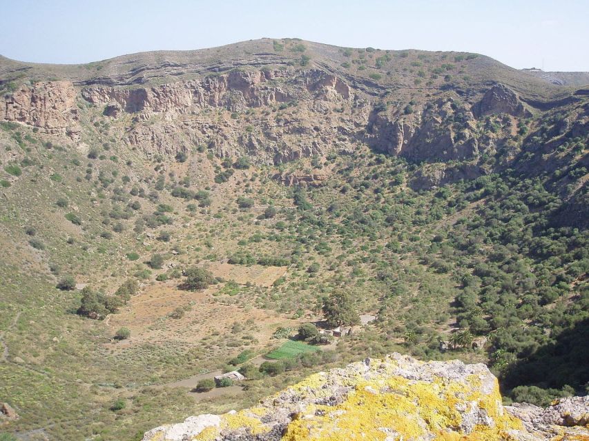 Private Bandama Caldera Volcano, Botanic Garden & Old Town - How the 3-hour private format fits real schedules