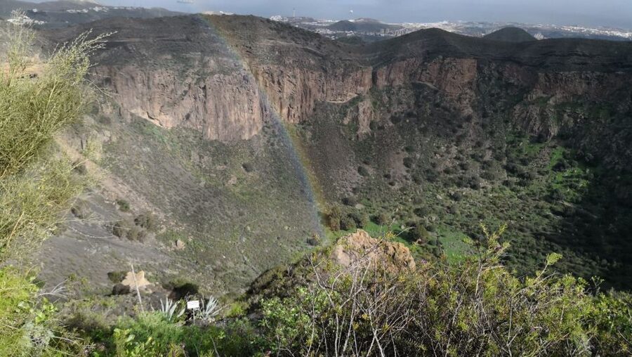 Private Bandama Caldera Volcano, Botanic Garden & Old Town - Should you book this private Bandama + botanical garden tour?
