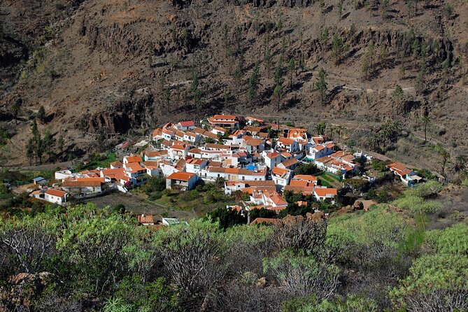 Private shore excursion in Gran Canaria the miniature continent - Small Stops, Big Changes on Gran Canaria