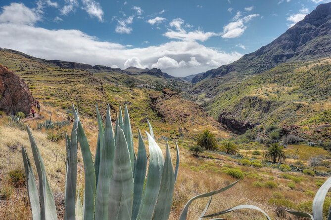 Private shore excursion in Gran Canaria the miniature continent - Tejeda and Almond Country: 45 Minutes to Taste the Center