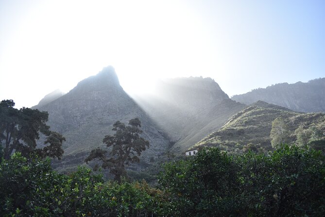 Private Shore Excursion in Gran Canaria - Arucas Botanic Garden and Town Stroll: Quick, Charming, and Doable