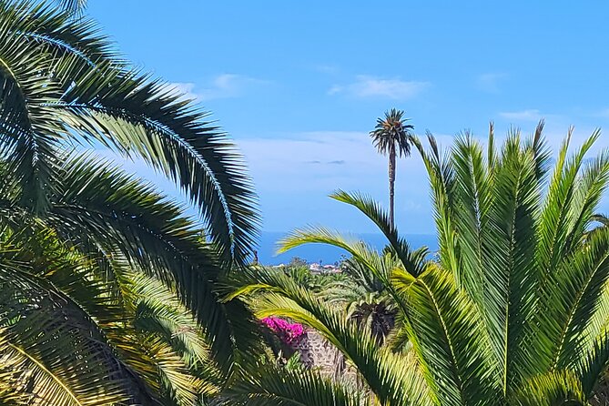 Private Tour from the Port of Las Palmas to Teror Firgas Arucas - Price and value: what $232.71 per person buys you