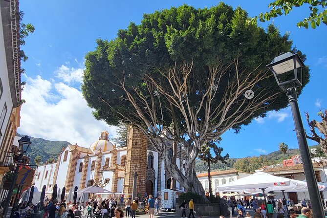 Private Tour from the Port of Las Palmas to Teror Firgas Arucas - Timing, weather, and road conditions you should respect