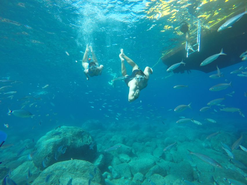 Puerto de Mogan: Boat and Snorkeling Trip - Key points worth knowing before you go