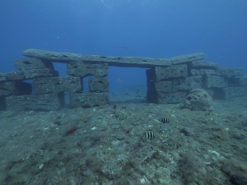 Puerto de Mogán: Submarine Tour - Key things to know before you go