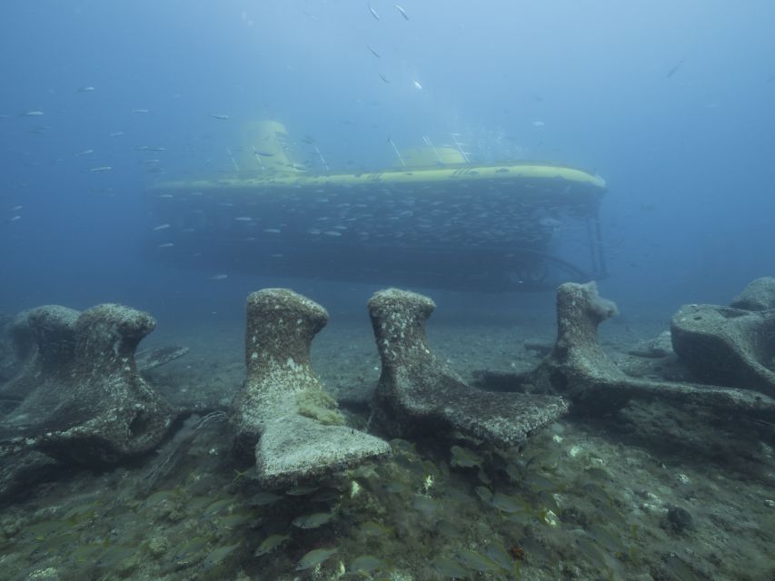 Puerto de Mogán: Submarine Tour - Should you book the Puerto de Mogán submarine tour?