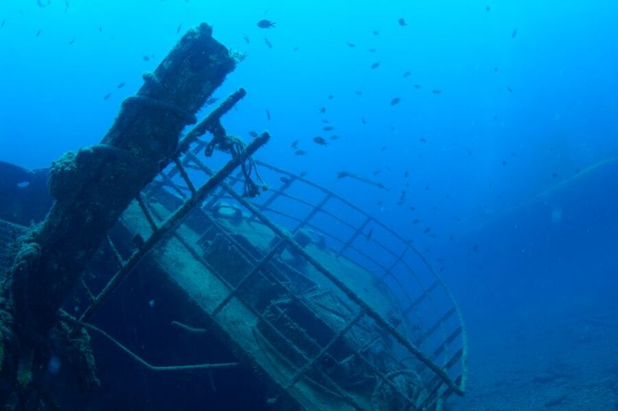 Puerto de Mogán: Submarine Tour - Golden Shark check-in in Puerto de Mogán: easy to find, time matters