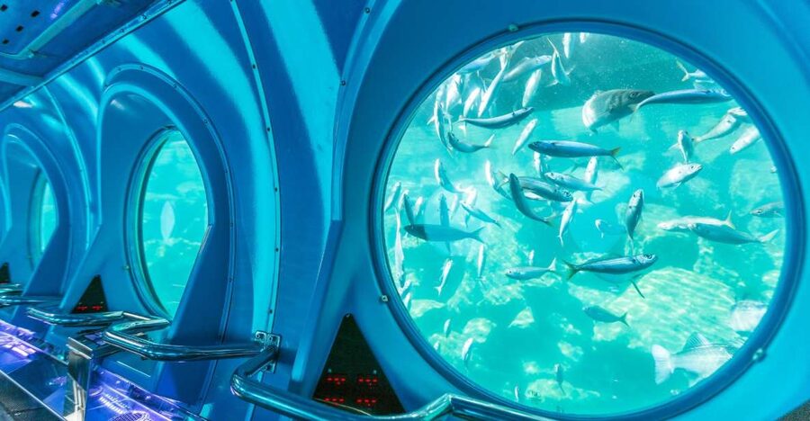 Puerto de Mogán: Submarine Tour - The onboard audio guide in 9 languages: how it makes the scenery make sense