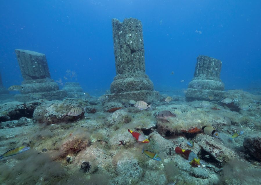 Puerto de Mogán: Submarine Tour - Practical tips for better views and better photos