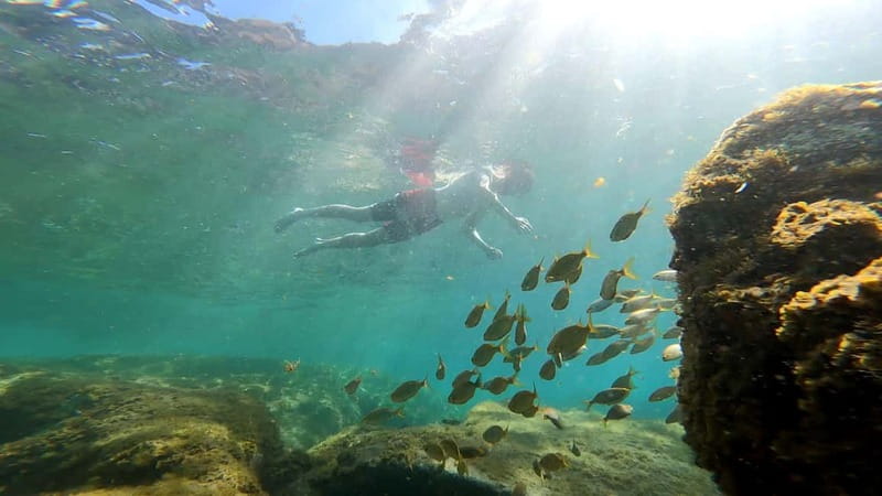 Puerto Mogán: Guided Adventure Kayak Tour in Caves & Snorkel - Key Things I’d Put at the Top