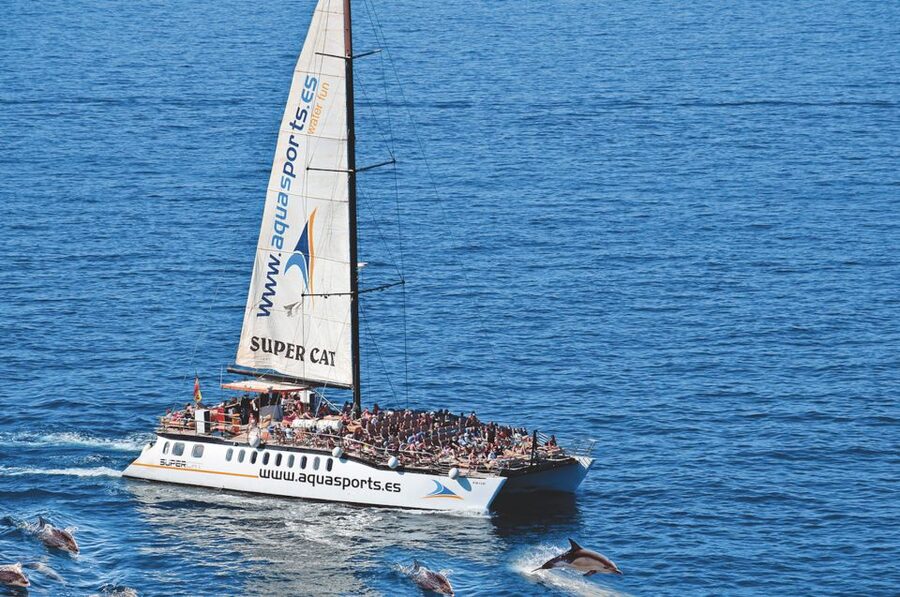 Puerto Rico : 2 hour Dolphin Catamaran Excursion - Key things I’d plan around