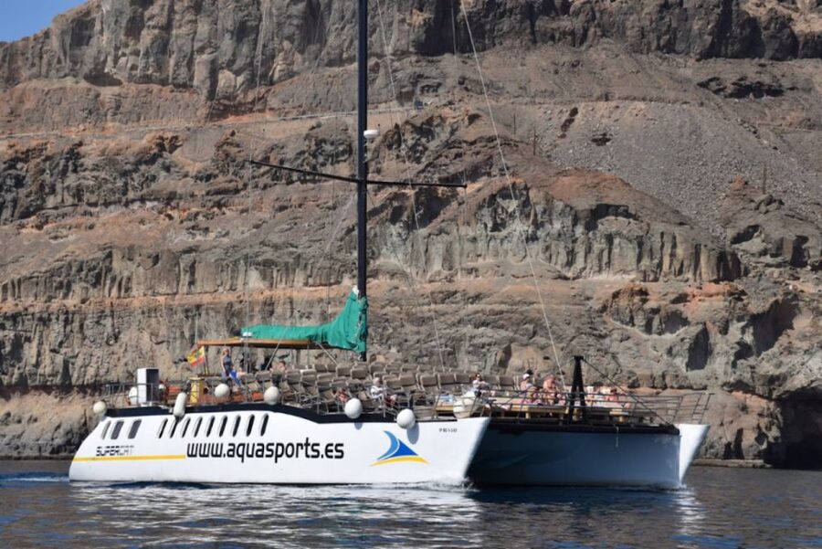 Puerto Rico : 2 hour Dolphin Catamaran Excursion - The Sighting Guarantee: How the Second Ticket Helps