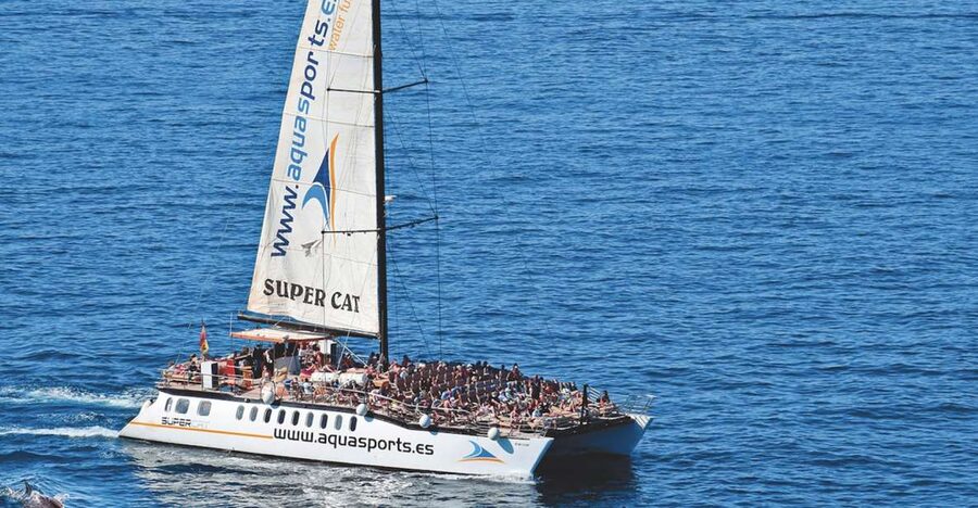 Puerto Rico : 2 hour Dolphin Catamaran Excursion - Where This Trip Fits in Your Gran Canaria Day