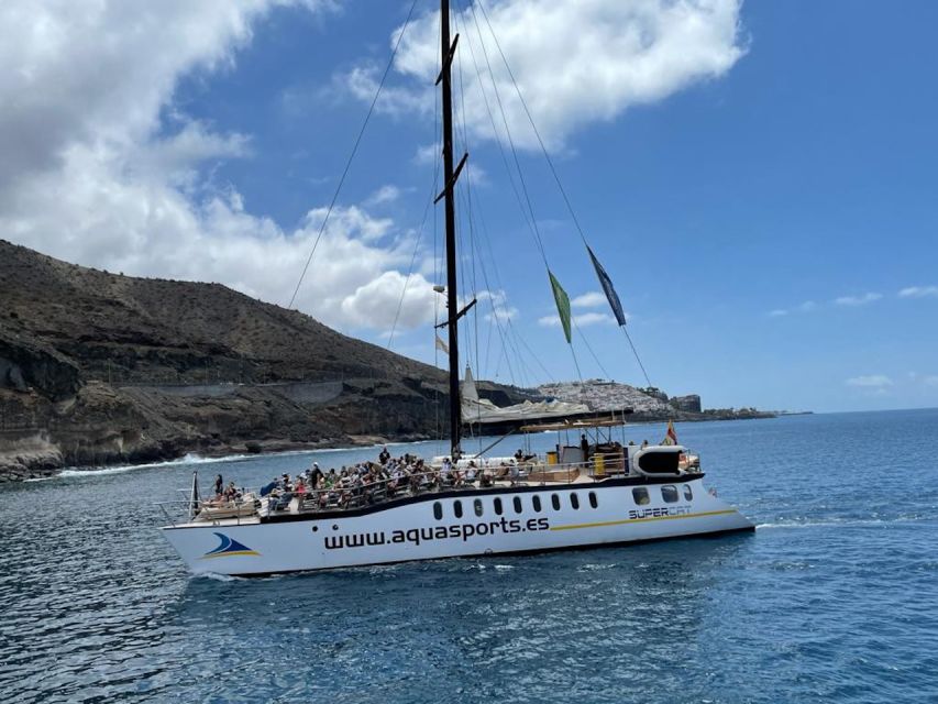 Puerto Rico : 2 hour Dolphin Catamaran Excursion - Dolphins, Turtles, Flying Fish, and Whales: What You Can Hope For
