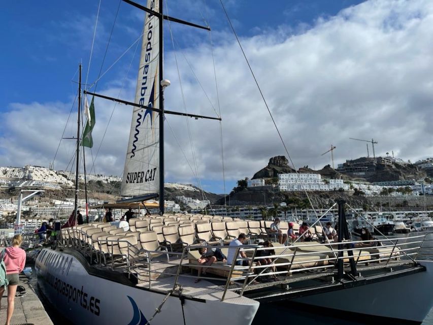 Puerto Rico : 2 hour Dolphin Catamaran Excursion - Onboard Bar and the One Complimentary Drink Value