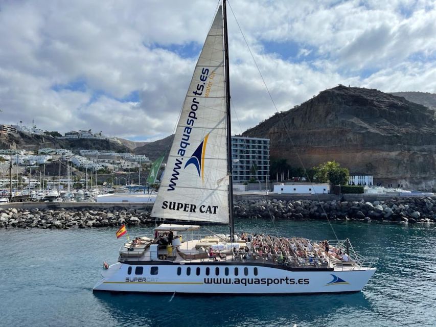 Puerto Rico : 2 hour Dolphin Catamaran Excursion - Crew, Live Guide, and the Captain Factor