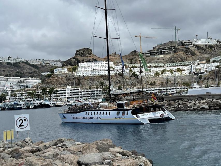 Puerto Rico : 2 hour Dolphin Catamaran Excursion - Sea-Sickness, Sun, and What to Bring