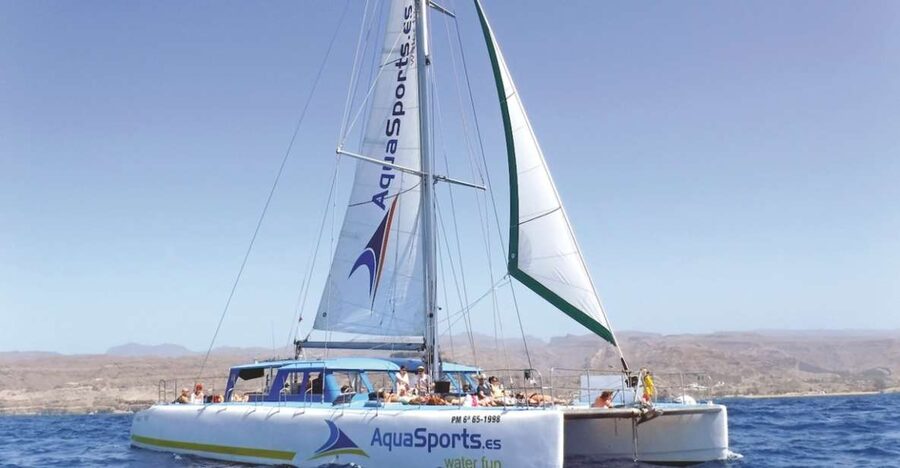 Puerto Rico: 4-Hour Catamaran Excursion in the South - Getting There: South Island Pickup to Puerto Rico Base