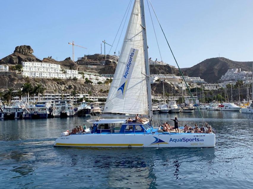 Puerto Rico: 4-Hour Catamaran Excursion in the South - The Swim and Snorkel Stop: Goggles, Clear Water, and Dolphin Odds