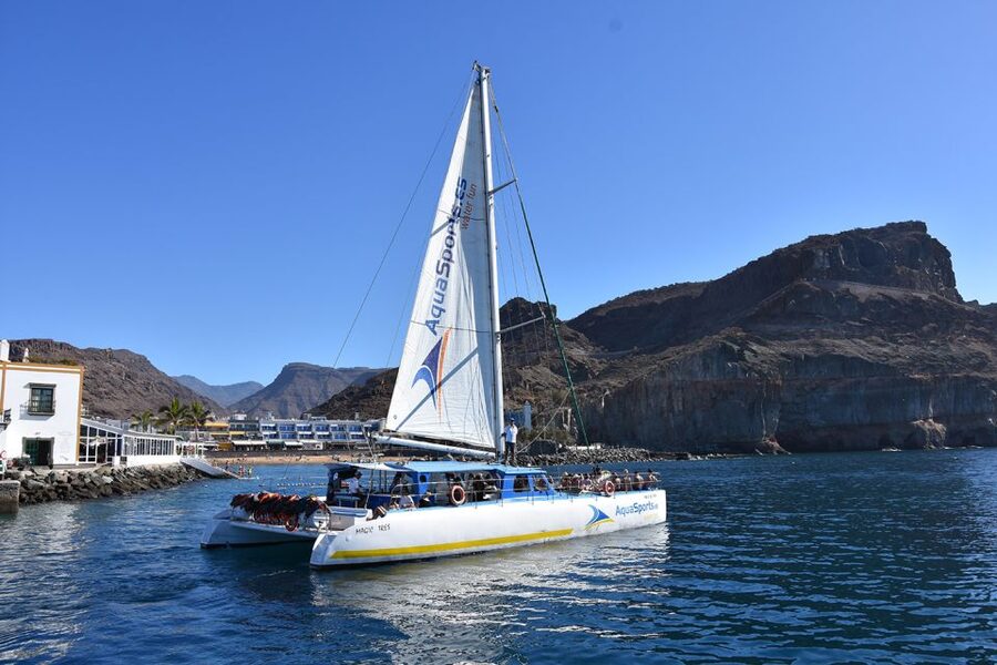 Puerto Rico: 4-Hour Catamaran Excursion in the South - Comfort and Safety Reality Check: Steps, Deck Access, and Getting In the Water