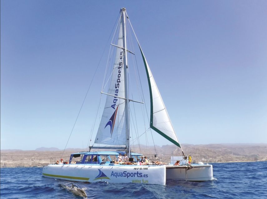 Puerto Rico: 4-Hour Catamaran Excursion in the South - Sailing Time You Can Actually Enjoy: Caves, Cliffs, and Deck Minutes