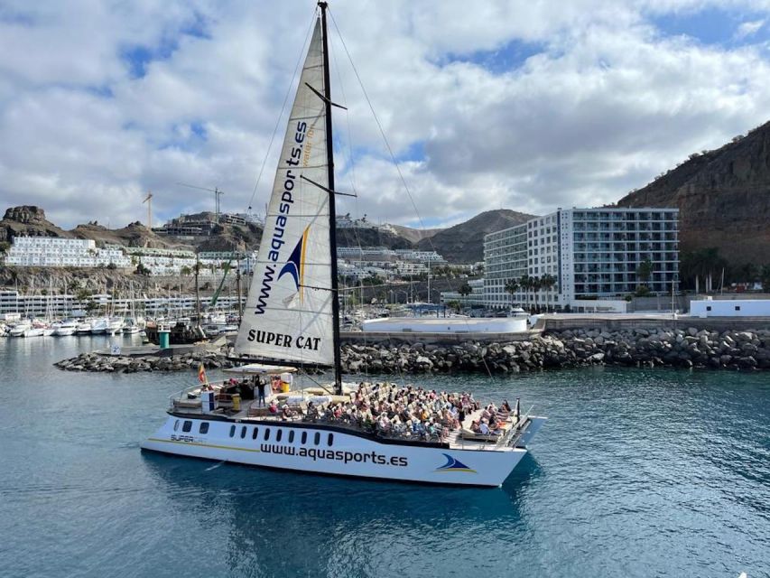 Puerto Rico de Gran Canaria: Premium Dolphin Catamaran Tour - Who This Tour Fits Best (And Who Might Want Something Else)