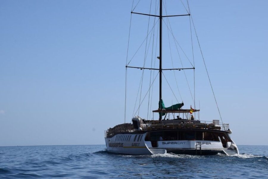 Puerto Rico de Gran Canaria: Premium Dolphin Catamaran Tour - Lunch, Open Bar, and the On-Board Vibe
