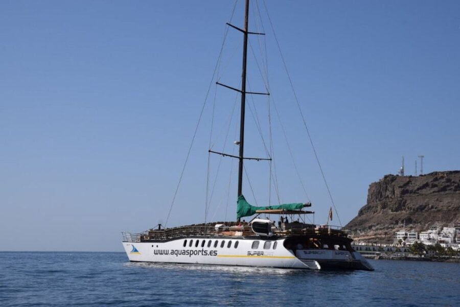 Puerto Rico de Gran Canaria: Premium Dolphin Catamaran Tour - Water-Sports Discounts and Optional Add-Ons on the Deck