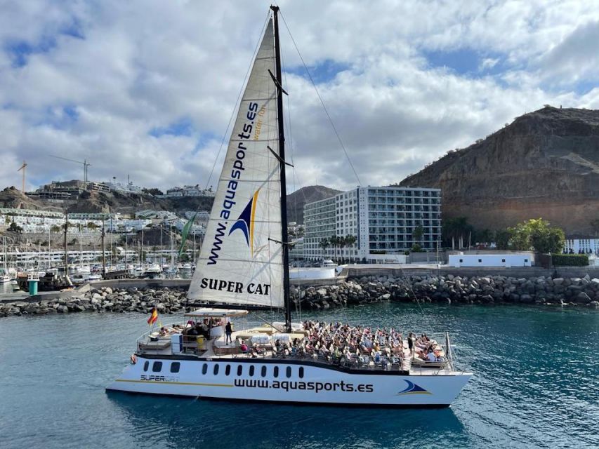 Puerto Rico de Gran Canaria: Premium Dolphin Catamaran Tour - Price and Value at About $75 Per Person
