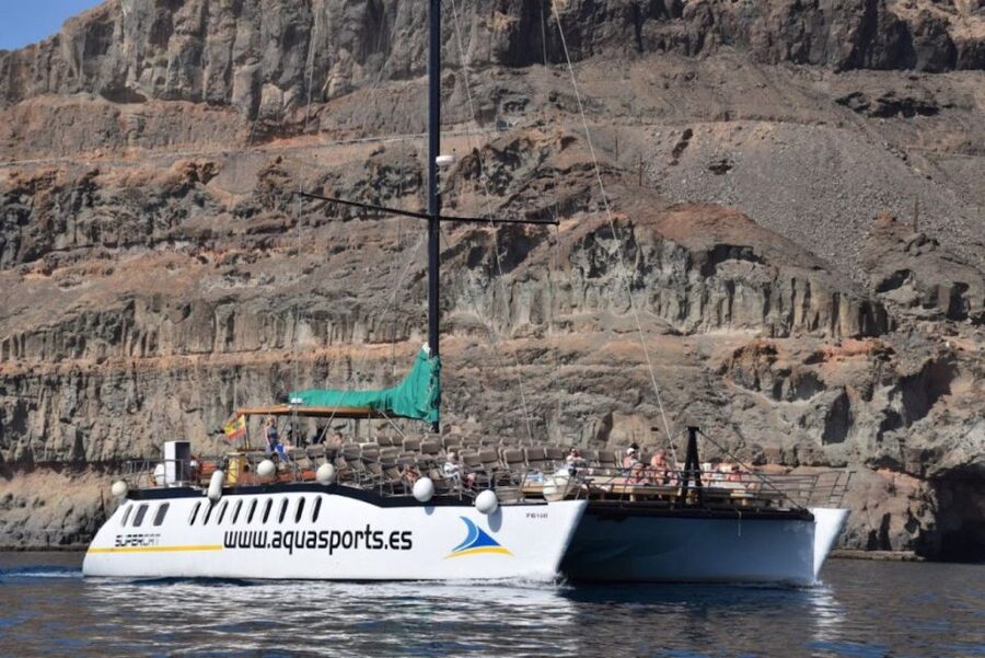 Puerto Rico de Gran Canaria: Premium Dolphin Catamaran Tour - Getting There From Bahia Feliz to Mogán (Pickup Limits Matter)