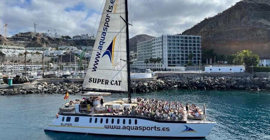 Puerto Rico de Gran Canaria: Premium Dolphin Catamaran Tour - The 4-Hour Flow: From Puerto Rico Base to Sea Caves and Dolphin Search