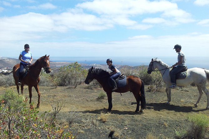 Relaxing Horse Riding Tour in Gran Canaria - Key things I’d note before you go