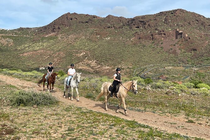 Relaxing Horse Riding Tour in Gran Canaria - The real itinerary: from helmet on to Cuatro Puertas