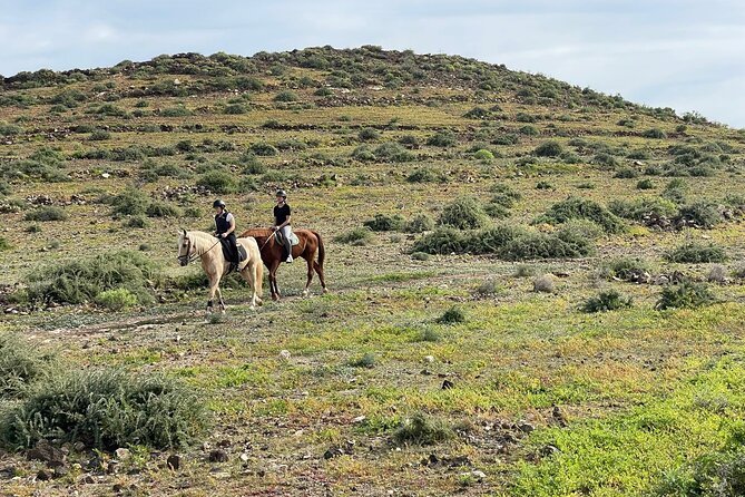 Relaxing Horse Riding Tour in Gran Canaria - Safety and value basics: helmet, weight limit, and real expectations