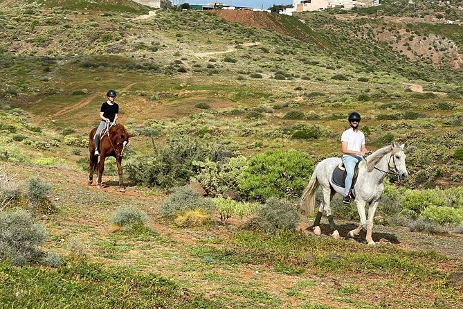 Relaxing Horse Riding Tour in Gran Canaria - Price and logistics: is $42.17 actually fair value?