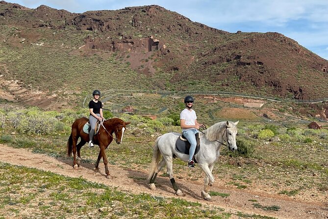 Relaxing Horse Riding Tour in Gran Canaria - The weather reality check (and how to plan around it)