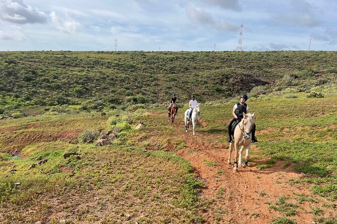 Relaxing Horse Riding Tour in Gran Canaria - Small-group comfort: why a max of 6 matters