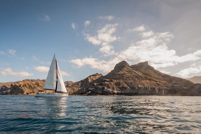 Sailing Trip and Snorkeling (max. 8 people) - The deserted bay stop: snorkeling and paddleboarding are the main event